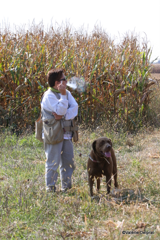 Field Erstein 09 (52).JPG